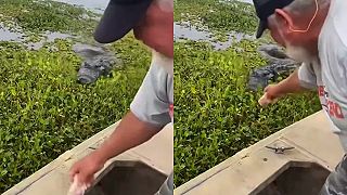 Chlapík vám ukáže svojho najobľúbenejšieho aligátora