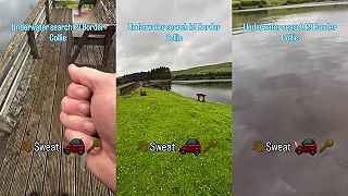 Tréning policajného psa v hľadaní predmetov podľa pachu pod vodou