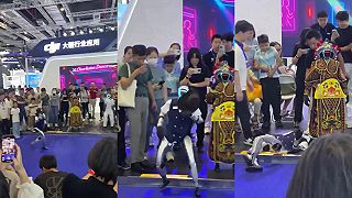 Humanoidný robot „zatrepal bačkorami”