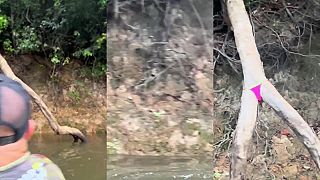 Rybári v juhoamerickom pralese neverili vlastným očiam