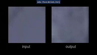 Získanie vizuálnych údajov z mozgu mačky v reálnom čase