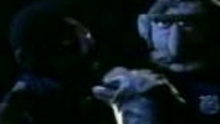 Eminem - Ass like that