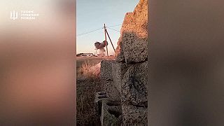 5 Kadyrovcov si musí podeliť 72 panien