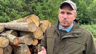 Štátny tajomník reaguje na nenávisť Denníka N. Drevo z TANAPu skončilo v Rumunsk