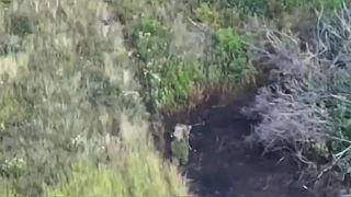 Okupant zostrelil dron pažbou