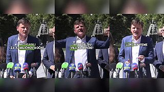 Hlina o vysádzaní lesov