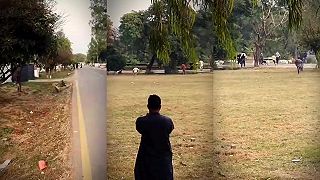 video Diviak sa ocitol vo veľmi nebezpečnej zóne