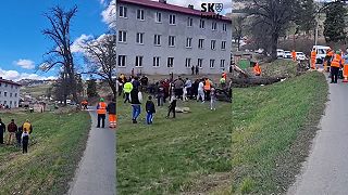 video Legendy slovenského internetu - Gumkáči