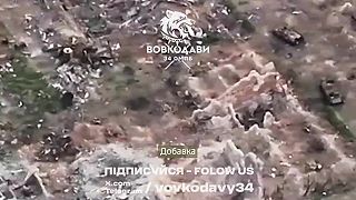 Protitanková mína ako efektívny prostriedok proti inváznemu druhu v norách