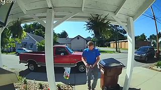 video Som ti vravel, že tie kvetináče tam nevešaj!