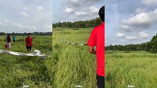 video Chodíš púšťať šarkanov? Tak pozeraj na toho môjho!