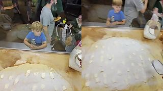 video Možno aj ja budem raz cukrár