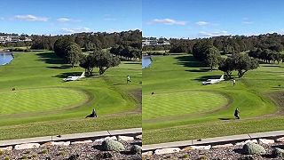 video Nič takéhoto som ešte v živote nevidel (núdzové pristávanie lietadla)