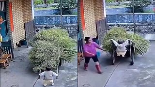 video Ja už som veľký, veď ten vozík zvládnem!