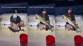 video Chytil som rybu veľkú akom moja žena!