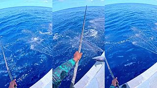 video Na Maldivách má lov tuniakov pomocou udíc dlhú tradíciu