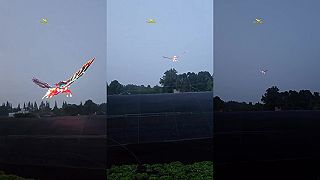 video Videl som letieť na oblohe Pegasa!