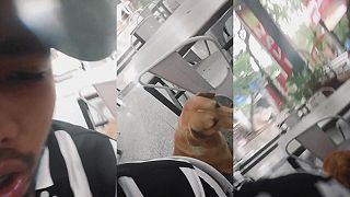 video Who Let the Dogs Out?