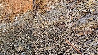 video Máš 10 sekúnd na to, aby si niečo v zábere objavil