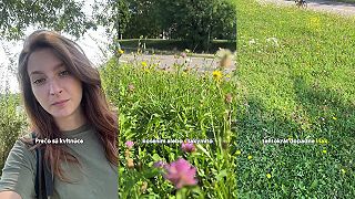 Prečo sú kvitnúce lúky v meste také dôležité? (Denisa Záchenská)