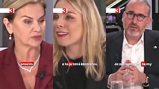 Dvaja europoslanci za smer