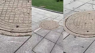 video Vážky boli ako v bufete, chytali komáre, ktoré vyletovali z kanalizácie!