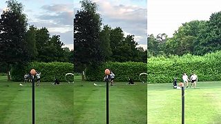 video Na koľký pokus trafíme golfovou loptičkou vajíčko?