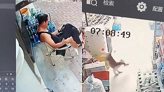 video Tá mačička teda vie, ako obalamutiť majiteľa obchodu