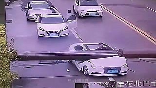 video No, mali sme teda poriadne šťastie! (kompilácia)