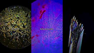 video Tak sa pozrime, ako vyzerajú jednotlivé zlúčeniny pod mikroskopom