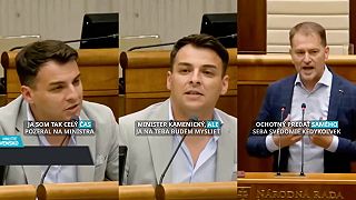 Lacko Kamenický sa stane guvernérom národnej banky bude kresliť