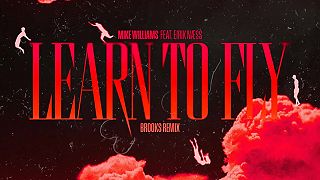 Learn To Fly (Brooks Remix)