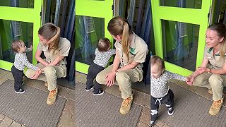 video Zlatíčko, detský klub je už zatvorený (malý fiškus)