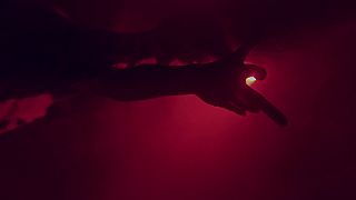 Empyre One, Koni Blank & Laura Brehm - Angel in the Dark