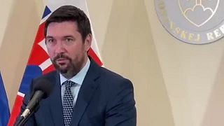 Alojz Hlina a Veronika Remišová šírili hoaxy