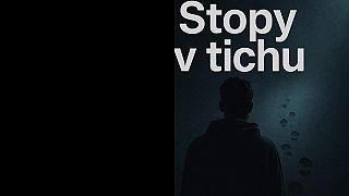 Stopy v tichu - AI Barborka