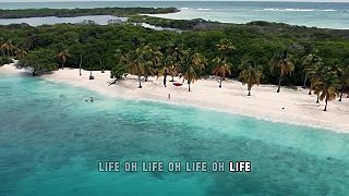 Edward Maya, Syn Cole - Life