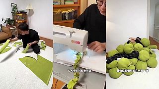 video Trošku si uletel na hrozne