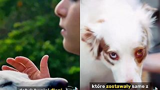 Najhoršíe rozhodnutie v živote