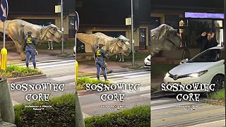 Kúsok štandardu na úvod dňa
