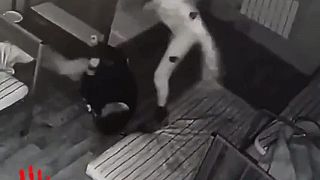 Dvaja ruskí vojaci ubili na smrť tretieho