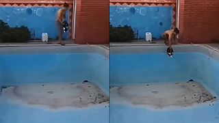 video Dám tam mačku, tá potkana vybaví!