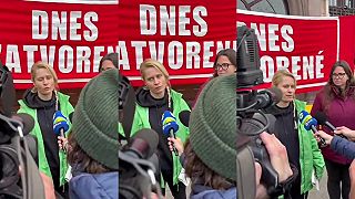 Ekologickí aktivisti blokujú vstup do ministerstva ŽP. Greenpeace