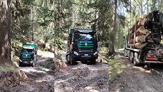 Najlepší náklaďák na svete - TATRA 6x6 Timber