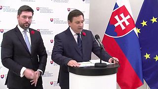 Projekt zalesňovania a vysádzania stromov. Dezinformačný portál 360 šíri hoaxy