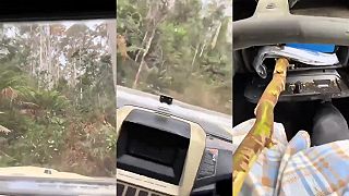 video Tuším máš dnes druhé narodeniny