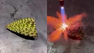 video Šupa durianu dokáže odolať plameňu z autogénu, ktorý dosahuje 3200 °C