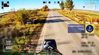 Ruské safari na civilistov #25