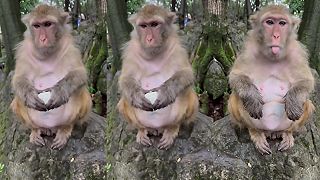 video Do psej matere, to čo si mi dal za vajce?