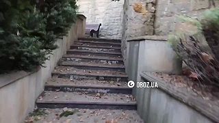 Rusi vybombardovali azerbajdžanskú ambasádu